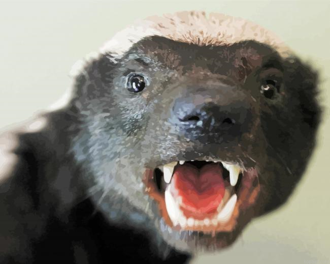 Honey Badger Head Painting By Numberss.png