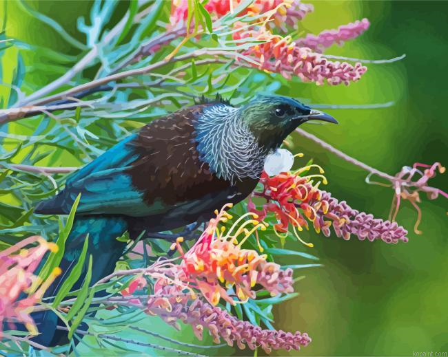 Honeyeater Tui Bird Painting By Numberss.png