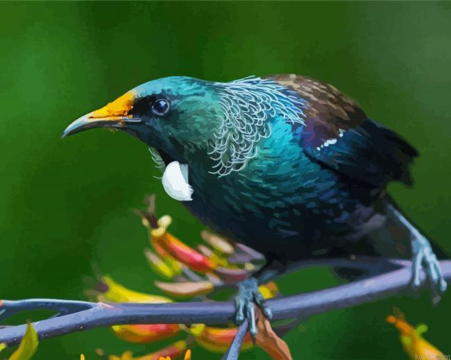 Honeyeater Tui On Branch Painting By Numberss.png