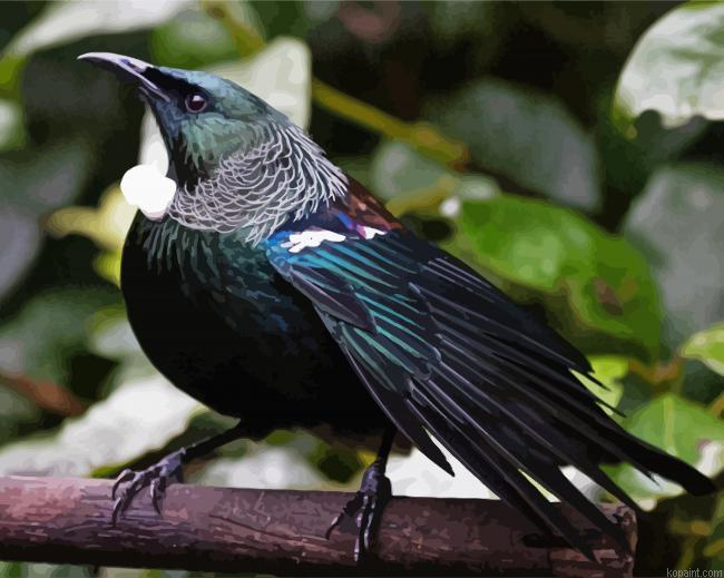 Honeyeater Tui Painting By Numberss.png