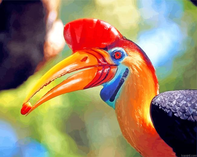 Hornbill Bird Animal Painting By Numberss.png