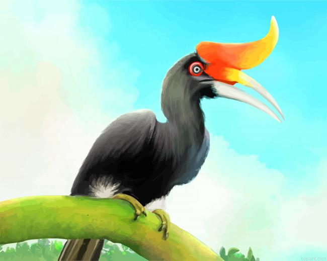 Hornbill Bird Painting By Numberss.png