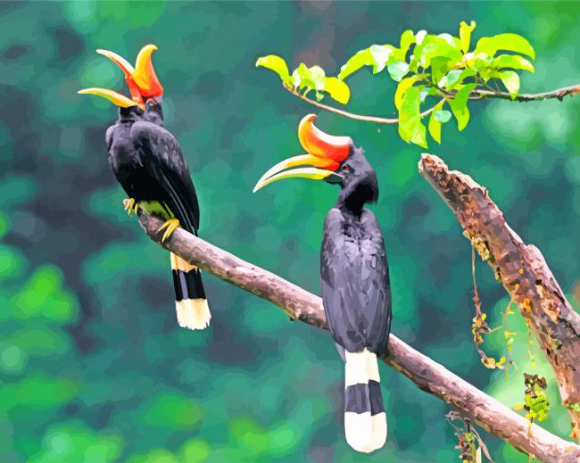 Hornbill Birds Painting By Numberss.png
