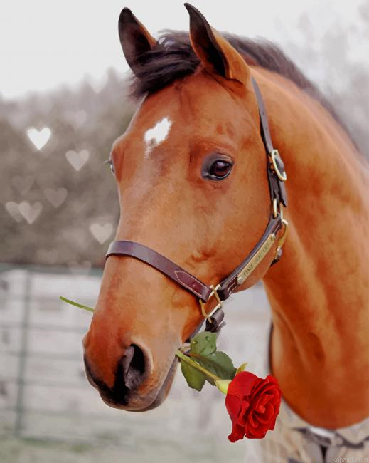 Horse Holding Red Rose Paint By Numbers