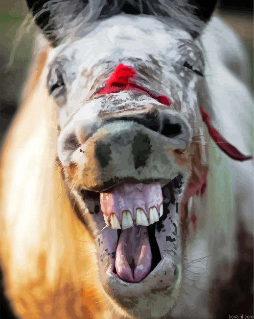 Horse Laughing Painting By Numberss.png