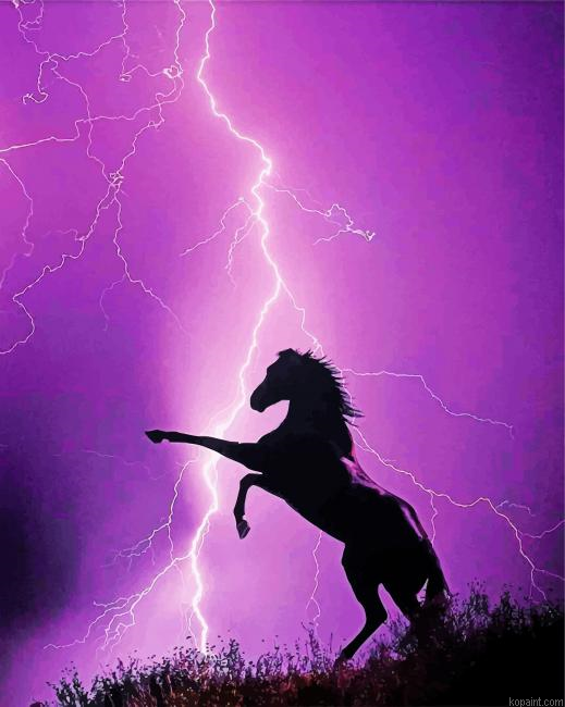 Horse Lightning Painting By Numberss.png
