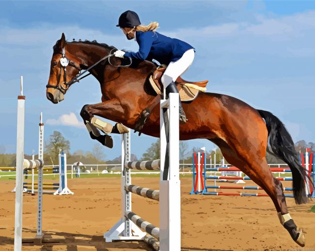 Horse Show Painting By Numberss.png