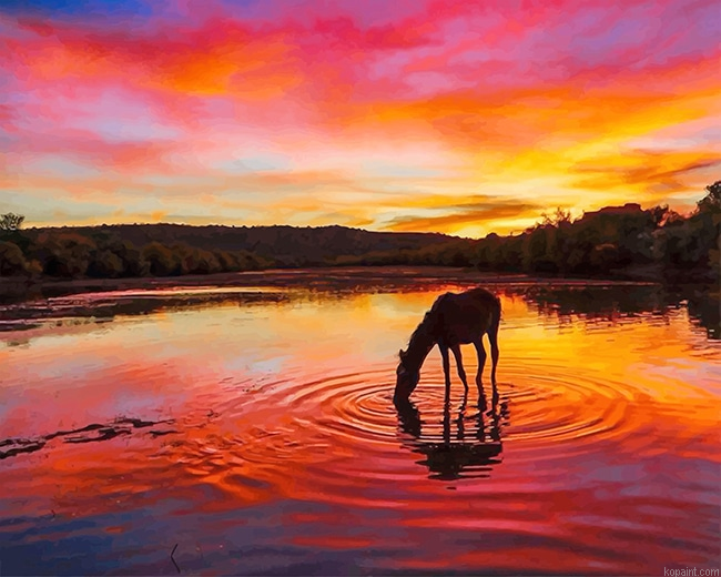 Horse Sunset New Painting By Numberss.png
