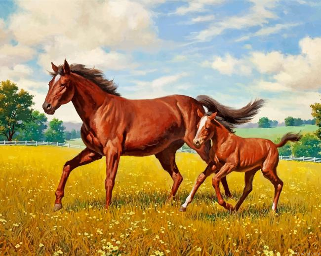 Horses In Meadow Painting By Numberss.png