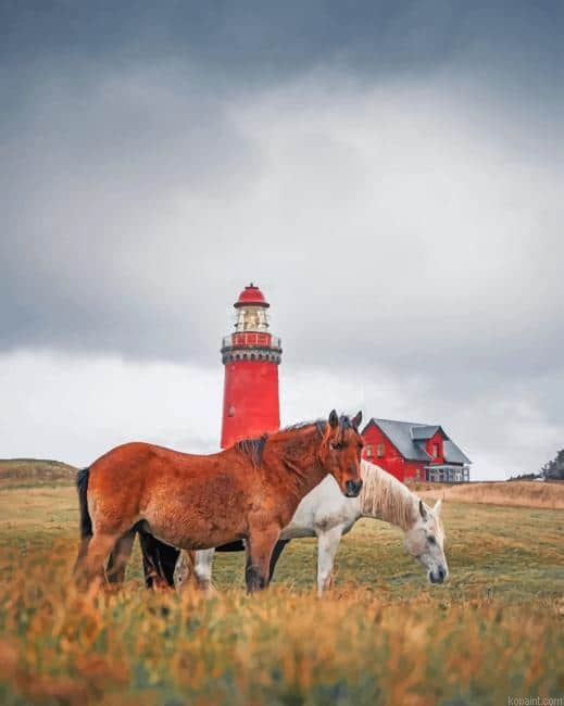 Horses Near To Bovbjerg Lighthouse Paint By Numbers