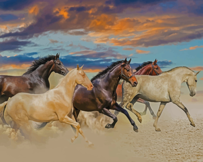 Horses Running In Desert Painting By Numberss.png