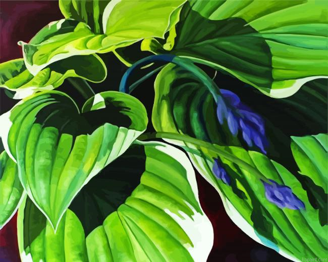 Hosta Art Painting By Numberss.png