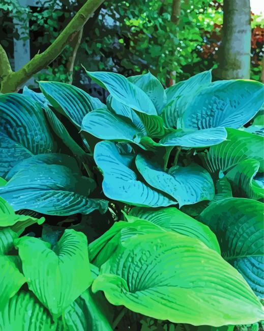 Hosta Leaves Plants Painting By Numberss.png