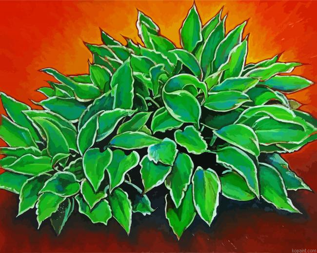 Hosta Plants Art Painting By Numberss.png