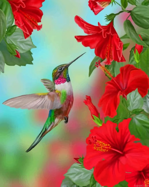 Hummingbird And Flowers New Painting By Numberss.png