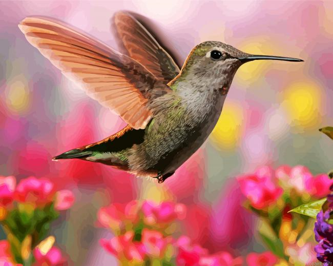 Hummingbird Painting By Numberss.png