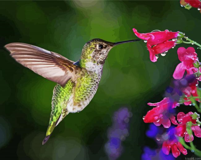 Hummingbird With Flowers Painting By Numberss.png