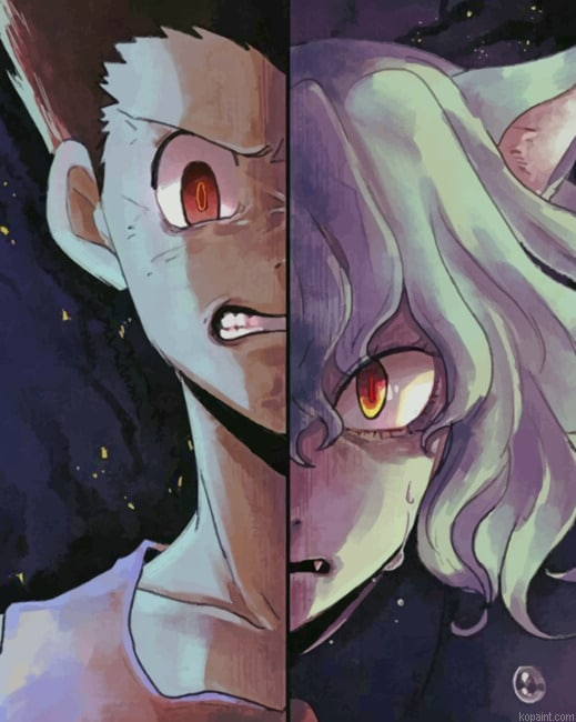 Hunter X Hunter And Pito New Painting By Numberss.png