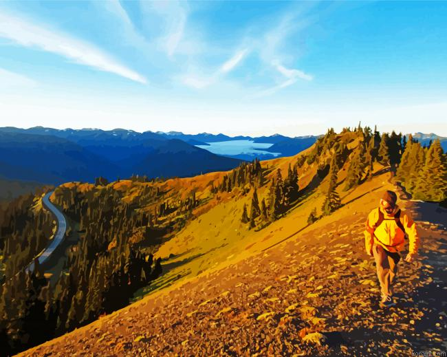 Hurricane Ridge Sunrise Painting By Numberss.png