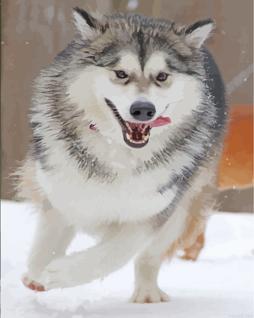 Husky Snow Painting By Numberss.png