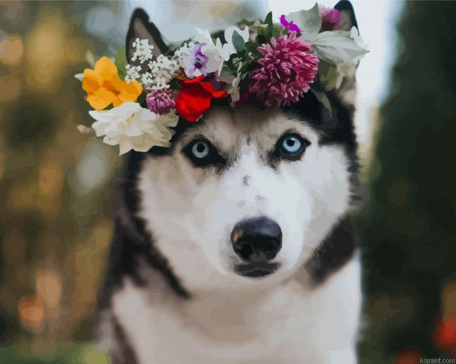 Husky With Flower Crown Painting By Numberss.png