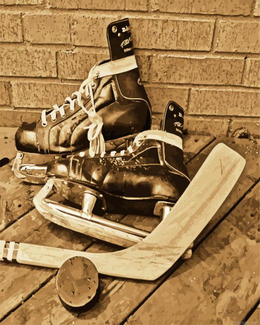 Ice Hockey Equipment Painting By Numberss.png