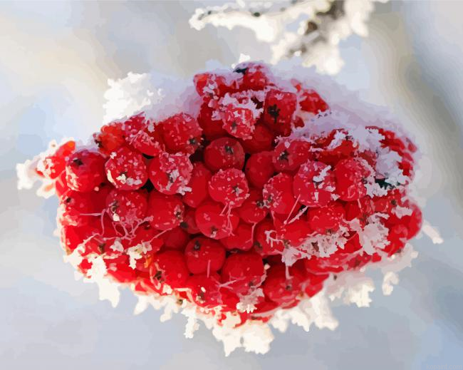 Iced Rowanberry Painting By Numberss.png