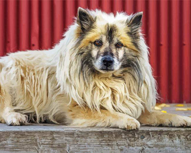 Icelandic Sheepdog Dog Painting By Numberss.png