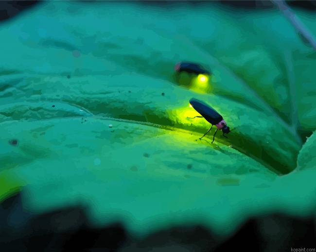 Insect Firefly Painting By Numberss.png