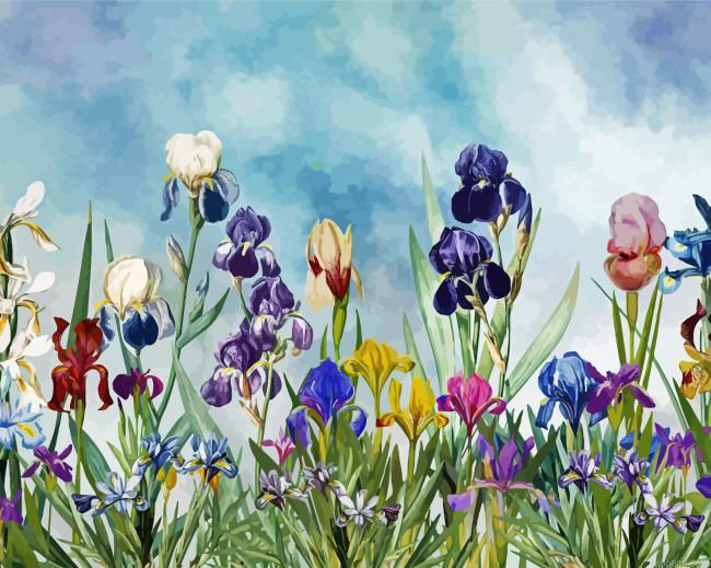 Iris Field Plants Painting By Numberss.png