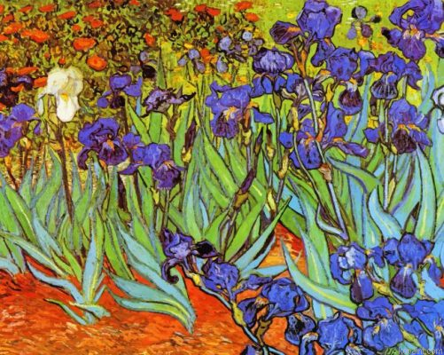 Irises Vincent Van Gogh Painting By Numberss.png