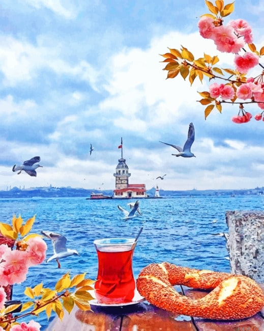 Istanbul And Tea Cities Painting By Numberss.png