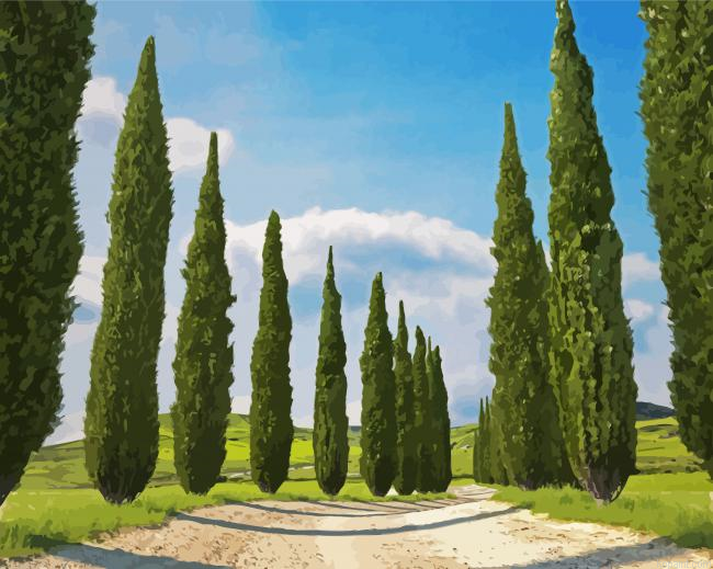 Italian Cypress Trees Paint By Numbers.png