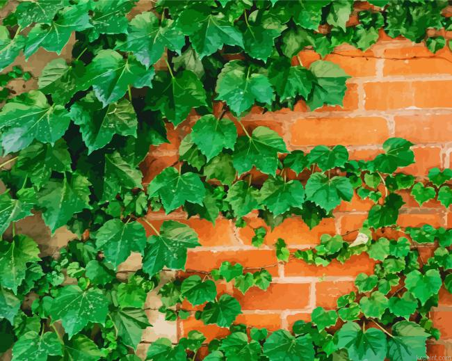 Ivy Plant Painting By Numberss.png