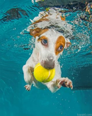 Jack Russell Underwater Painting By Numberss.png