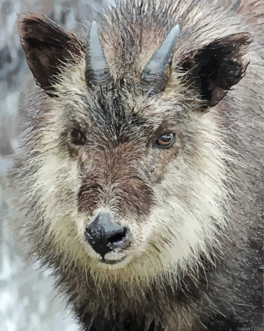 Japanese Serow Animal Painting By Numberss.png