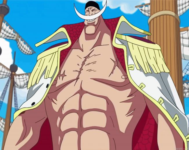 Japanese Whitebeard Painting By Numberss.png