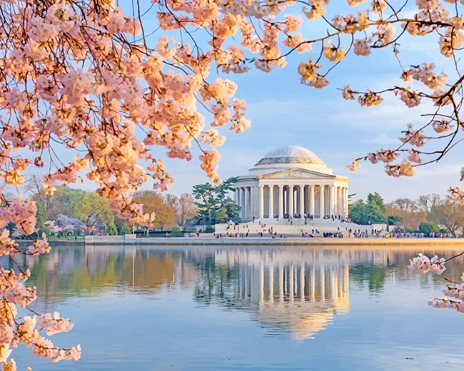 Jefferson Memorial In Cherry Blossom New Painting By Numberss.png