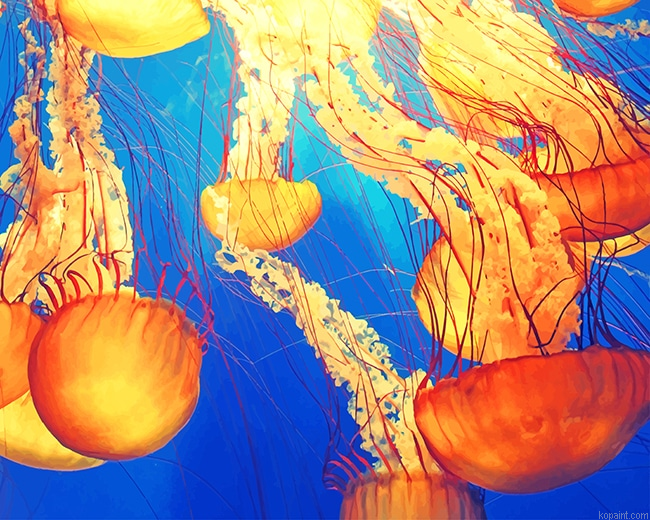 Jellyfish Illustration New Painting By Numberss.png