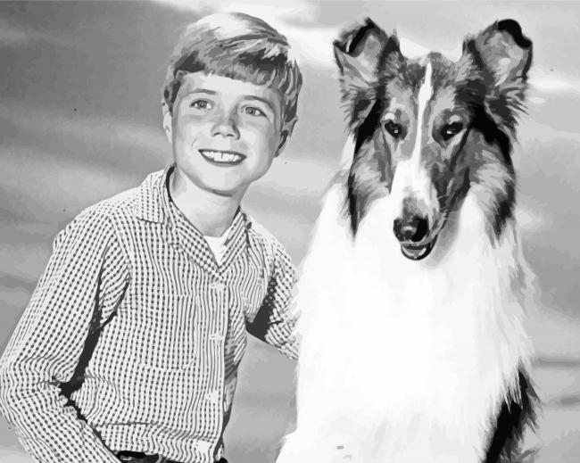 Jon Provost And Lassie Painting By Numberss.png