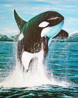 Jumping Whale Painting By Numberss.png