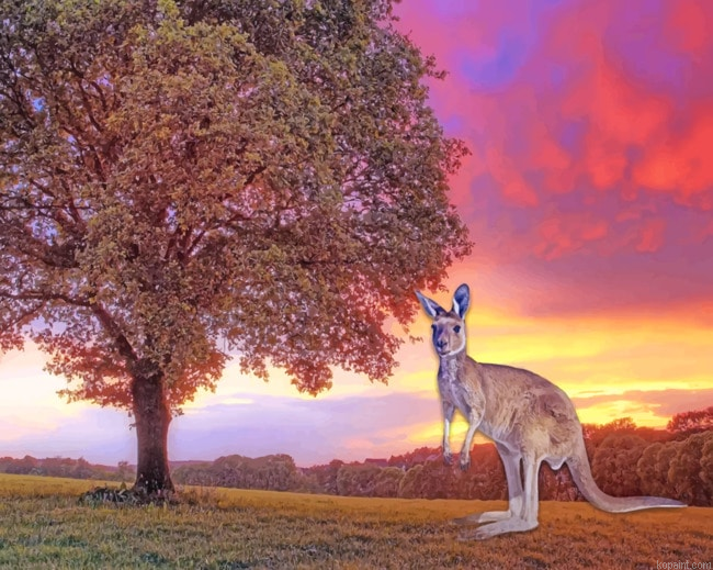Kangaroo During Sunset Painting By Numberss.png
