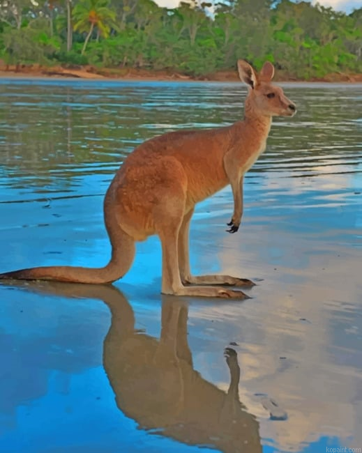 Kangaroo In The River Painting By Numberss.png