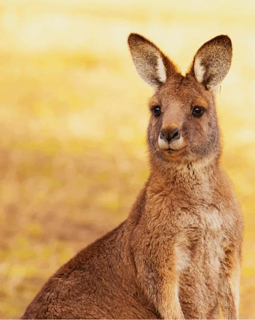 Kangaroo Painting By Numberss.png