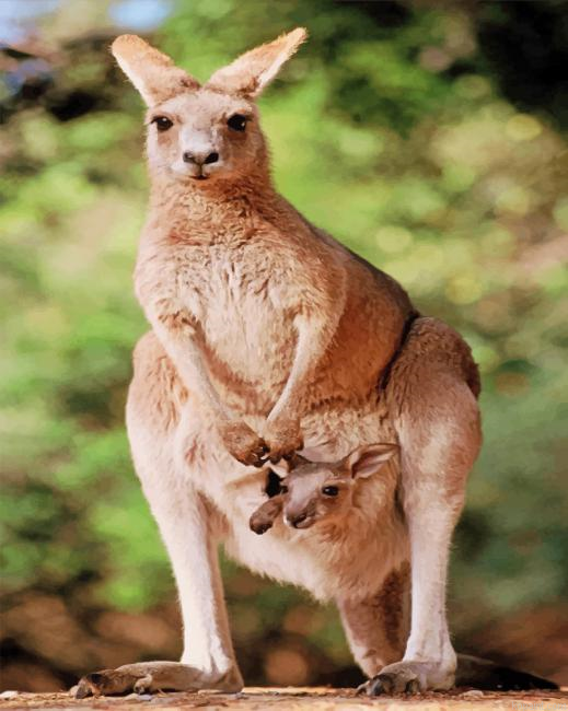 Kangaroo With Her Baby Painting By Numberss.png