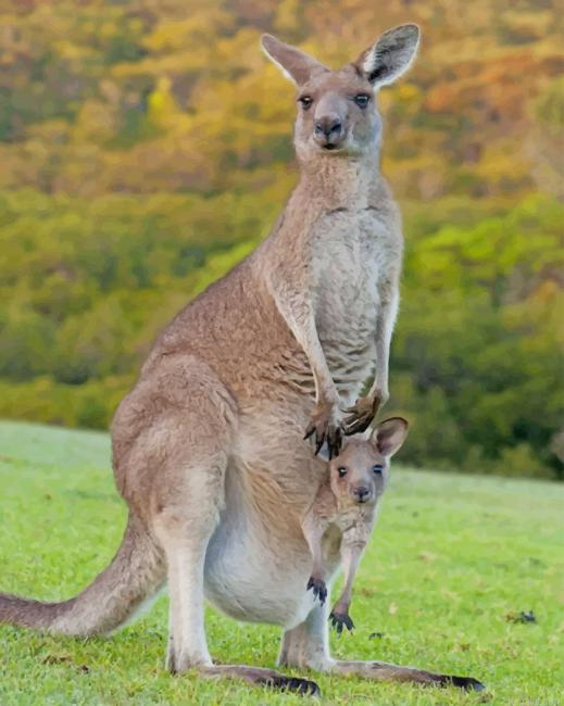 Kangaroos In Forest Painting By Numberss.png