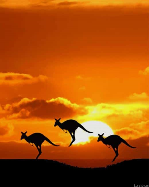 Kangaroos Silhouette Paint By Numbers