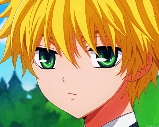 Kid Takumi Usui Maid Sama Painting By Numberss.png