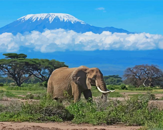 Kilimandjaro Animal Paint By Numbers.png