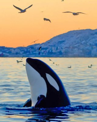 Killer Whale In The Ocean Painting By Numberss.png